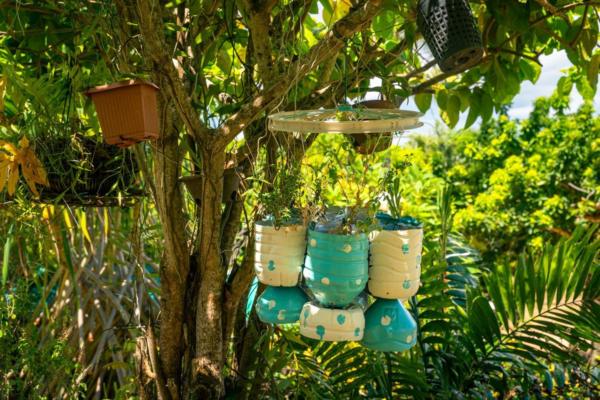 Lemongrass Lodge *