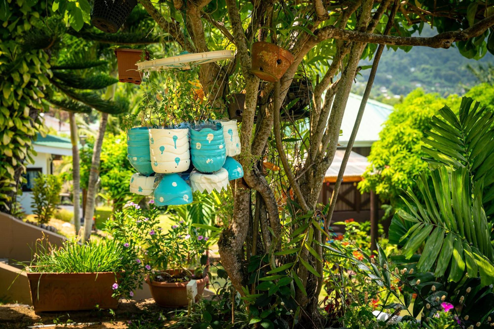 Lodge Lemongrass Beau Vallon (Mahe)